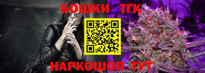 индика Заводоуковск