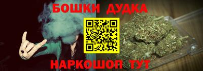 индика Заводоуковск
